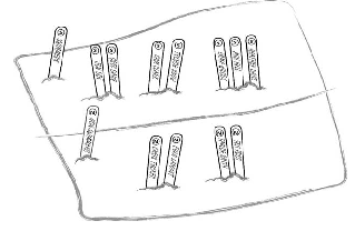 tongue depressor system