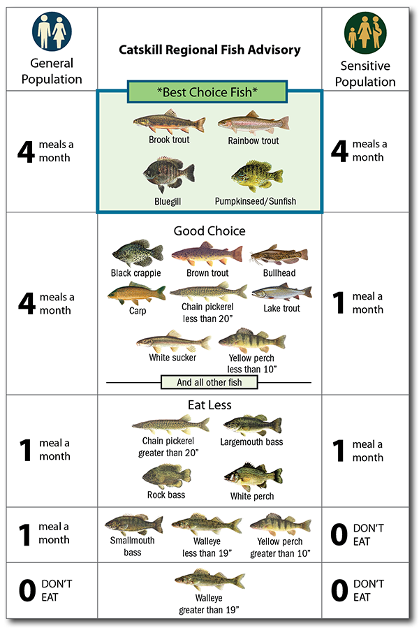 Image showing illustration of Catskill Regional Advice. This advice is available in table format below.