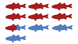 image showing six and a half red fish and three and a half blue fish representing roughly 65% chance of striped bass caught in Troy (during spring season) being over 0.5 ppm PCBs