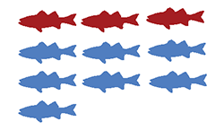 image showing three red fish and seven blue fish representing only roughly 30% chance of striped bass caught between Catskill and New York City (during spring season) being over 0.5 ppm PCBs