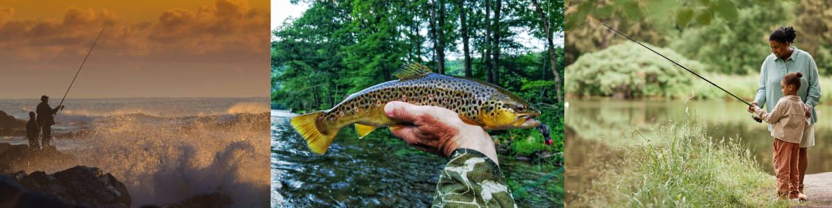 Three photos showing people fishing