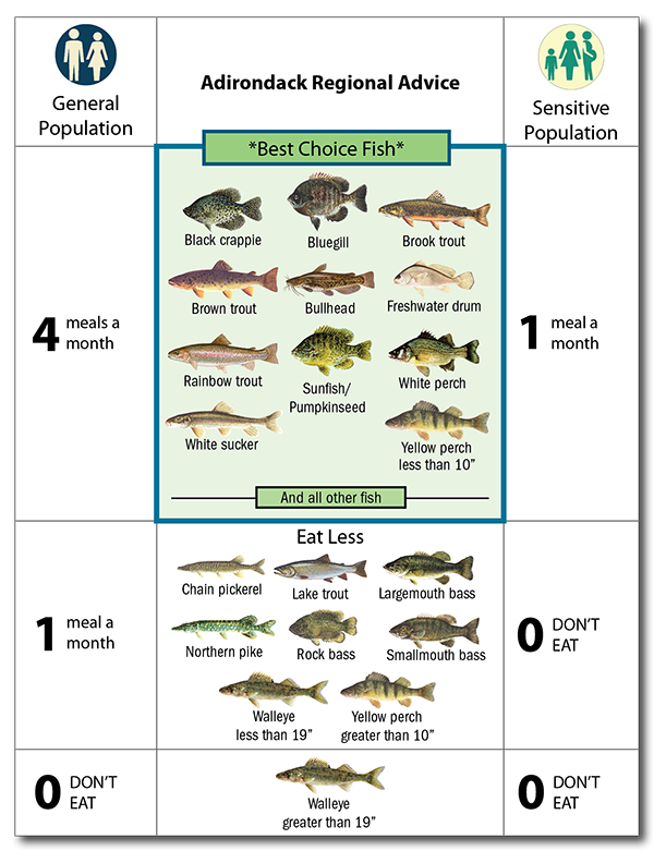 Image showing illustration of Adirondack Regional Advice.  This advice is available in table format below.