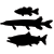 fish icon