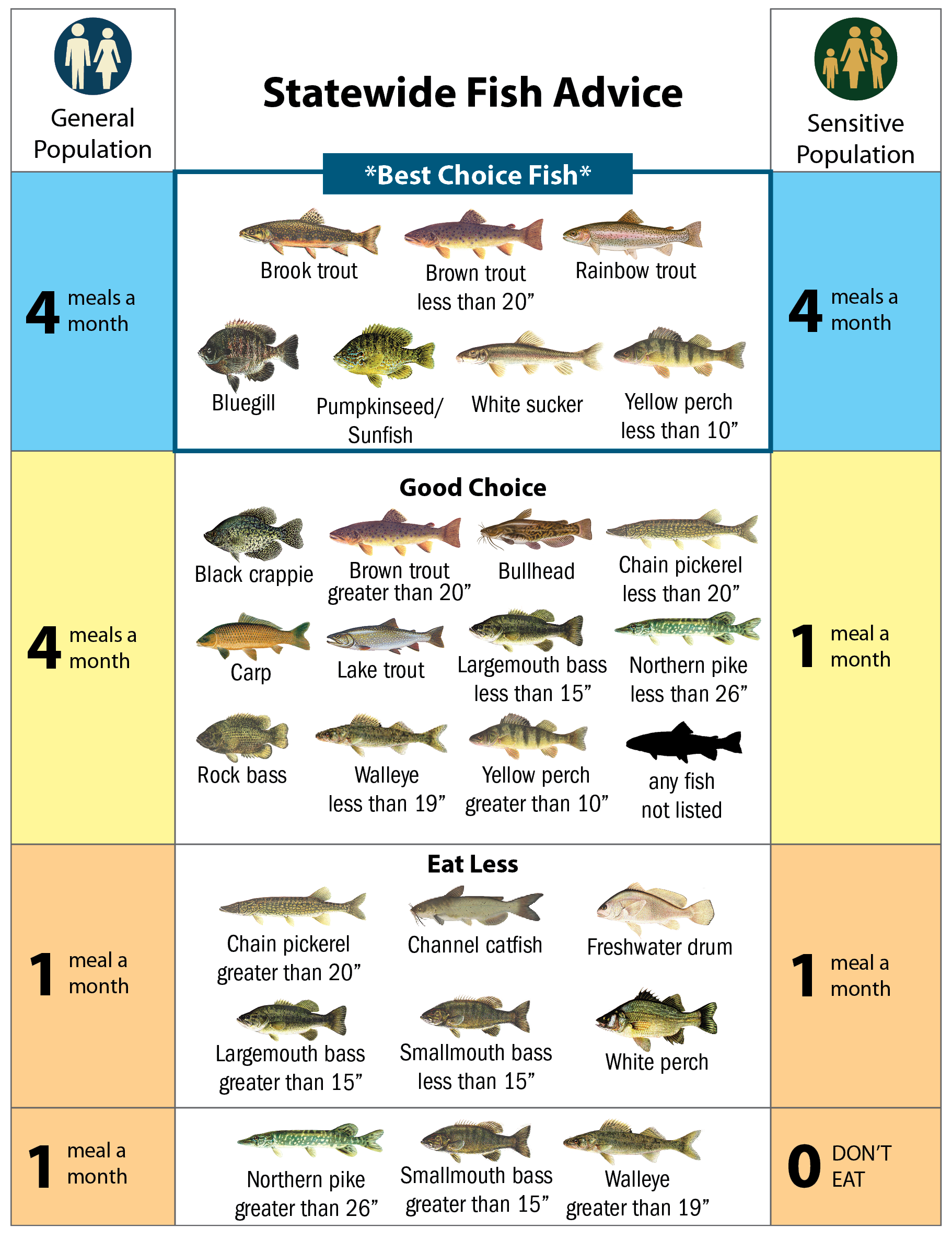 Image of statewide health advice. This advice is available in table format below.