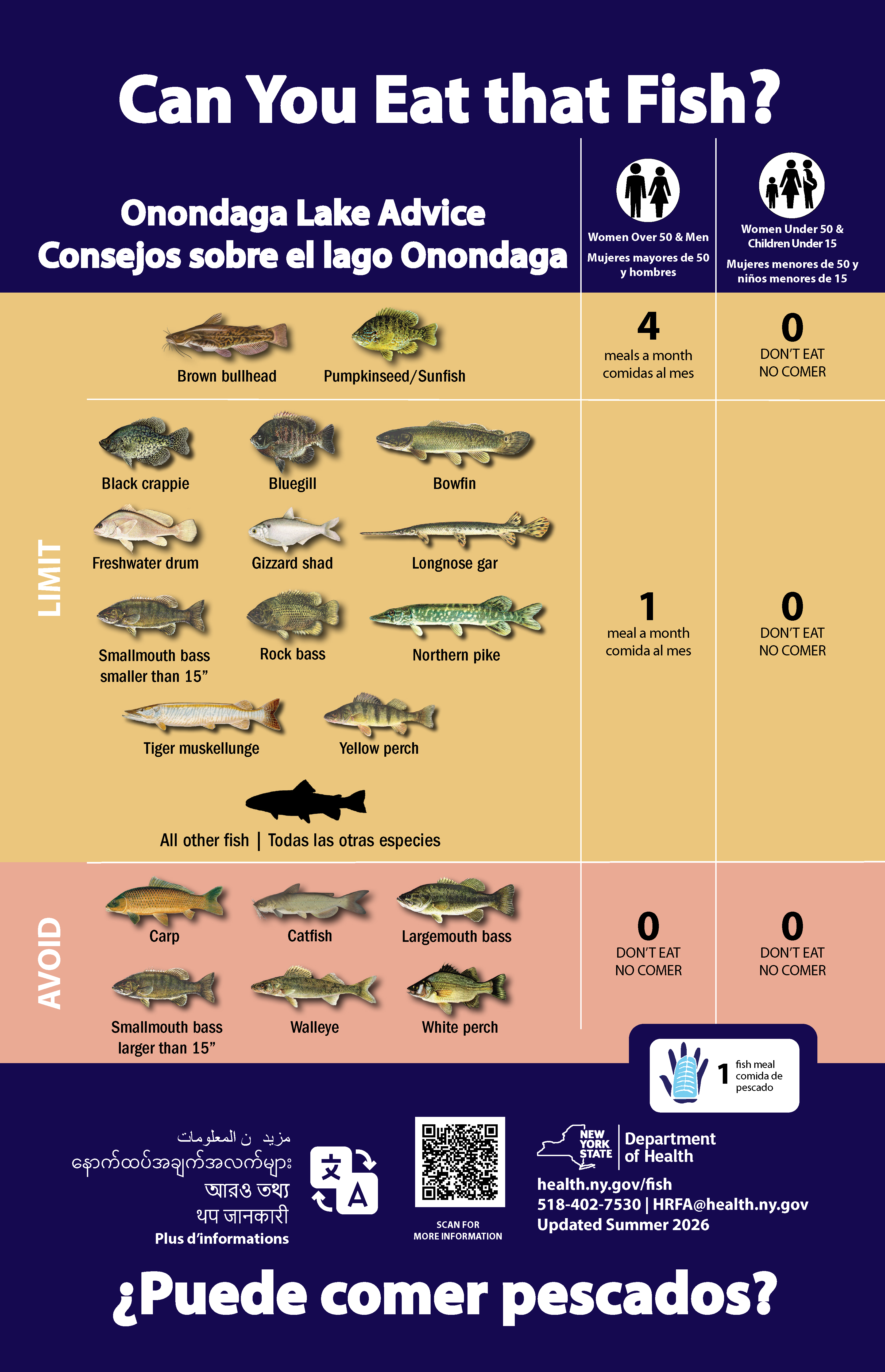 Advice on eating fish you catch from Onondaga lake. An accessible table with advice is available below.
