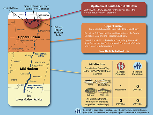 Advice on eating fish you catch from the mid-hudson, the Federal Dam at Troy to the Rip Van Winkle Bridge in Catskill. An accessible table with advice is available below.