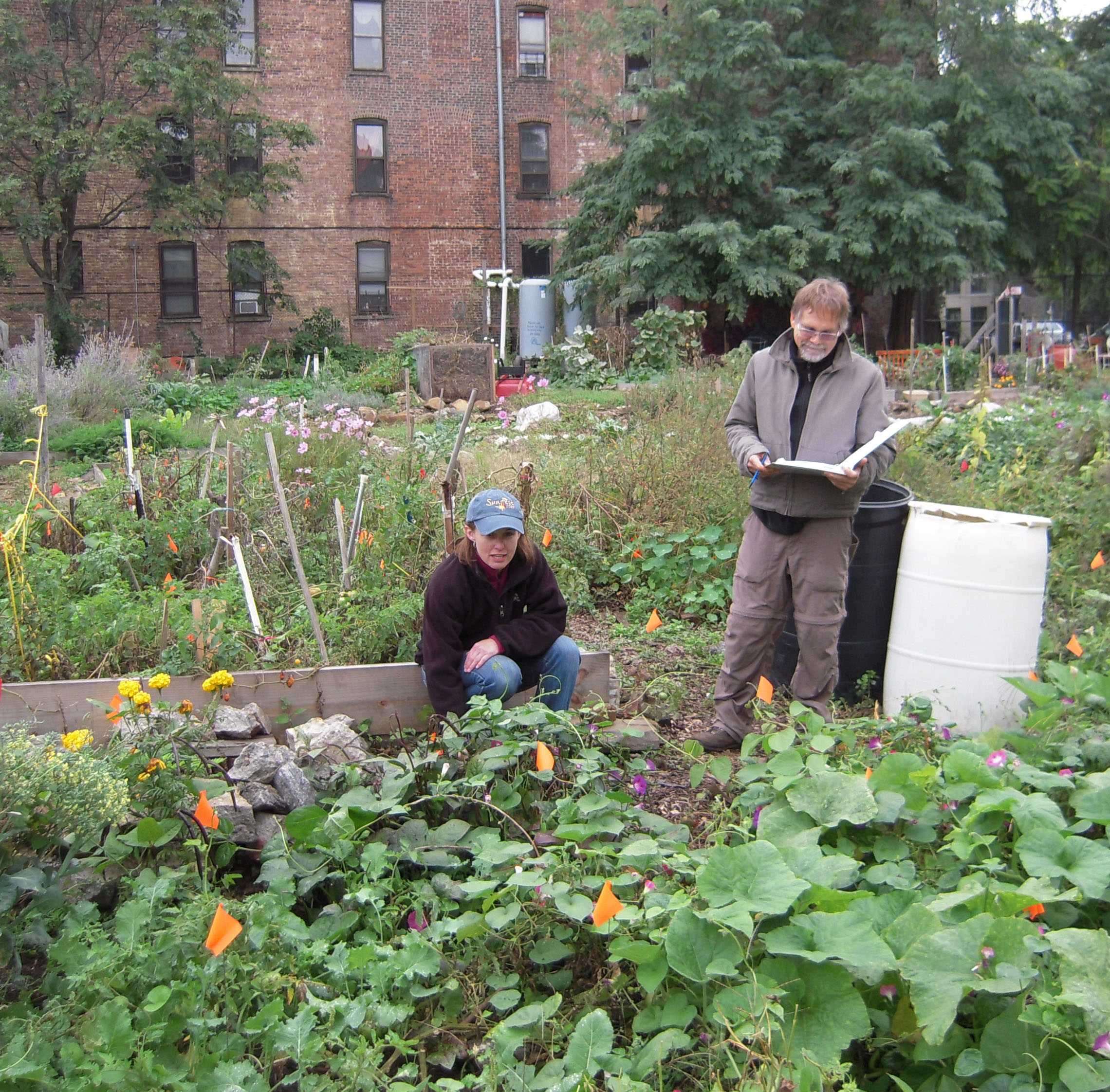 picture of a garden