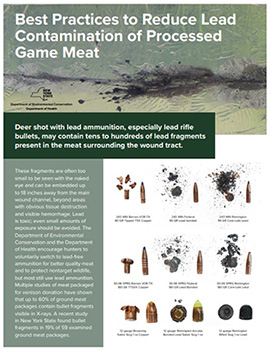 Cover image of DEC's Best Practices to Reduce Lead Contamination