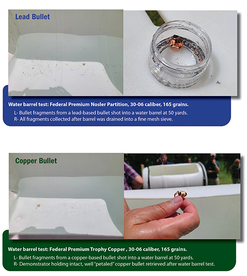 Image showing a lead-based and copper-based bullet's path shot through a water barrel. The lead bullet shows a lot of fragmenting which is collected after shooting into a container by draining the water through a sieve, the copper bullet doesn't fragment, and one of the demonstrators holds the intact, petaled copper round.