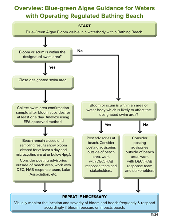 Diagram of Blue-green Algae Guidance for Waters with Operating Regulated Beaches