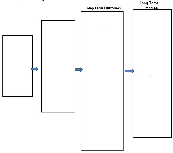 Figure 1: NYS Logic Model