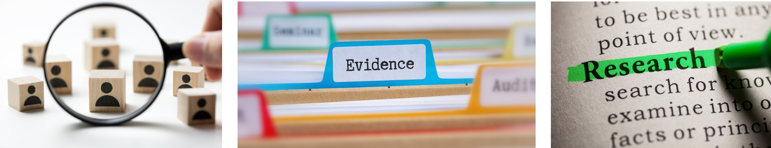 3 images: blocks, evidence file, research file