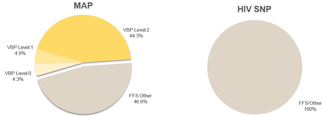 Results by Line of Business: Medicaid Advantage Plus (MAP) and HIV Special Needs Plans