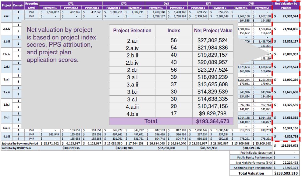 DSRIP Vision - How Should an Integrated Delivery System Function?