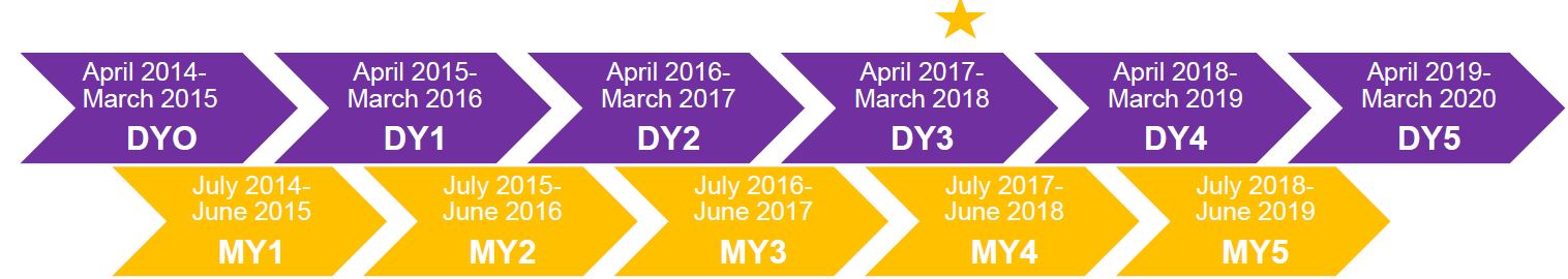 Progress and Performance Results along DSRIP Timeline