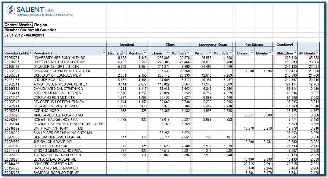 SALIENT DATA WORKBOOKS