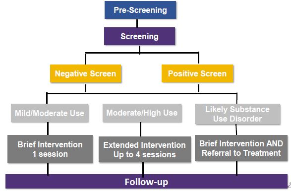 SBIRT Decision Tree