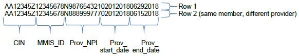 illustration of two different providers, with overlapping services dates, aiding a single member from February through June 2018