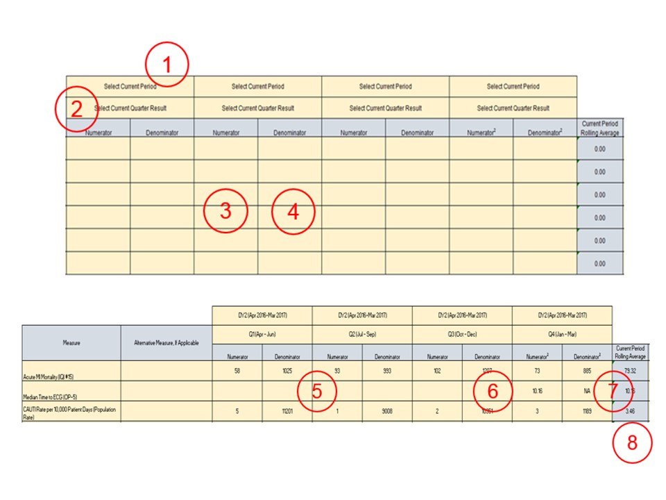 Detailed Facility to MCO VBP QIP P4P QIT Performance Report