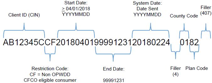 File Layout Example: Non OPWDD