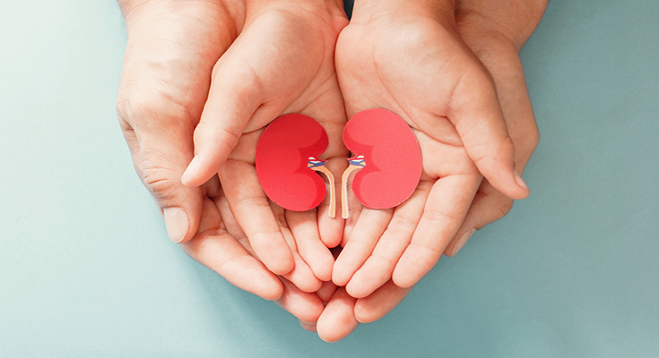 Living Donor Support Program