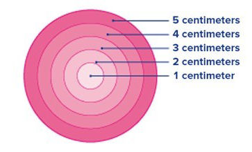 Circular diagragm of 1, 2, 3, 4, 5 centimeters Circular diagragm of 1, 2, 3, 4, 5 centimeters