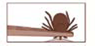 Ticks Removal Illustration #2