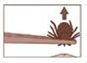 Ticks Removal Illustration #3