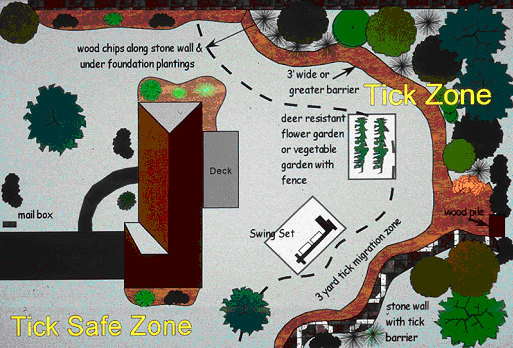 Image of what your property might look like if you followed all of the recommendations to create a tick free zone