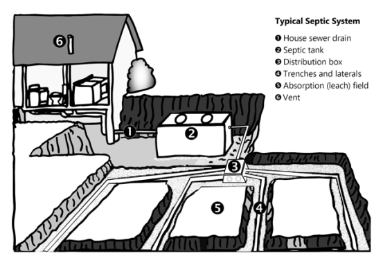 diagram of typical septic system