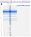 Respiratory Viruses
